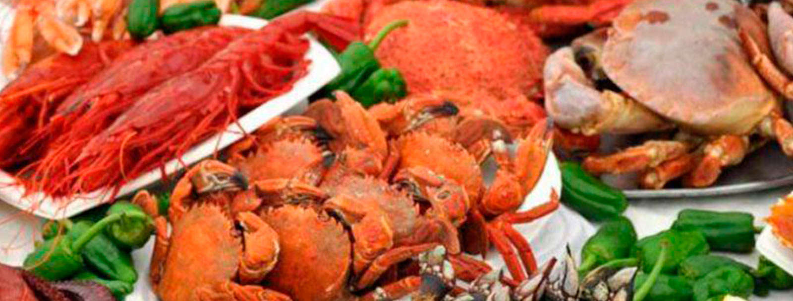 Cityexpress Hotel Ciprés - hotel en Caldas de Reis, Pontevedra